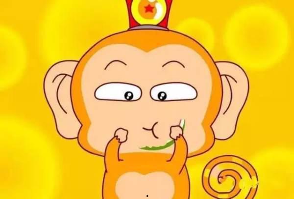 猴王吃瓜背景视频