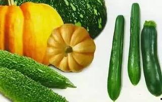 吃瓜消消,轻松解锁快乐生活新姿势