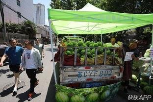 曹县销售吃瓜事件,一场网络营销的狂欢与反思