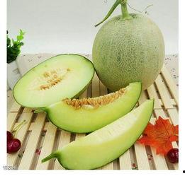 吃海阳网纹瓜,夏日里的甜蜜诱惑，品味传统与自然的完美交融