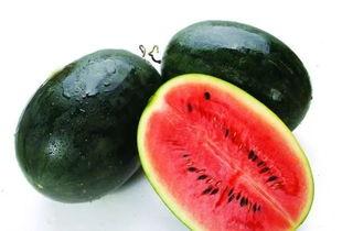 中卫网红如何吃瓜视频,一网打尽热门视频