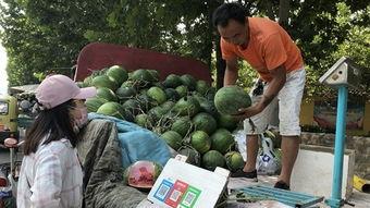 济宁金乡吃瓜最新事件视频,揭秘济宁金乡最新街头冲突视频真相